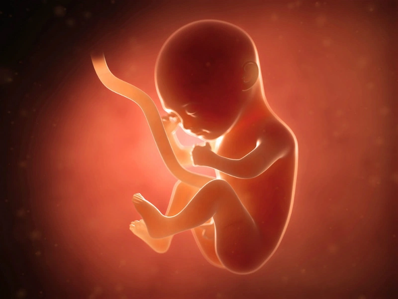 Nguyên nhân bị bướu máu ở trẻ sơ sinh: Những điều cha mẹ cần biết 2