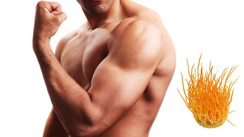 tăng cường khả năng tập luyện cơ bắp