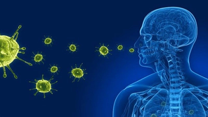 Sau các bệnh truyền nhiễm, cơ thể con người có phản ứng miễn dịch dịch thể và miễn dịch tế bào