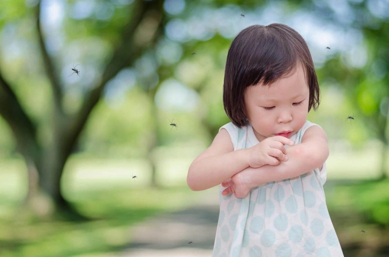 Dị ứng thuốc diệt muỗi: Nguyên nhân và cách xử lý 2
