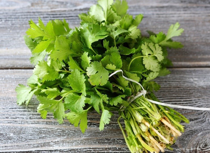 Những bài thuốc đông y chữa đau mắt đỏ đơn giản tại nhà 2