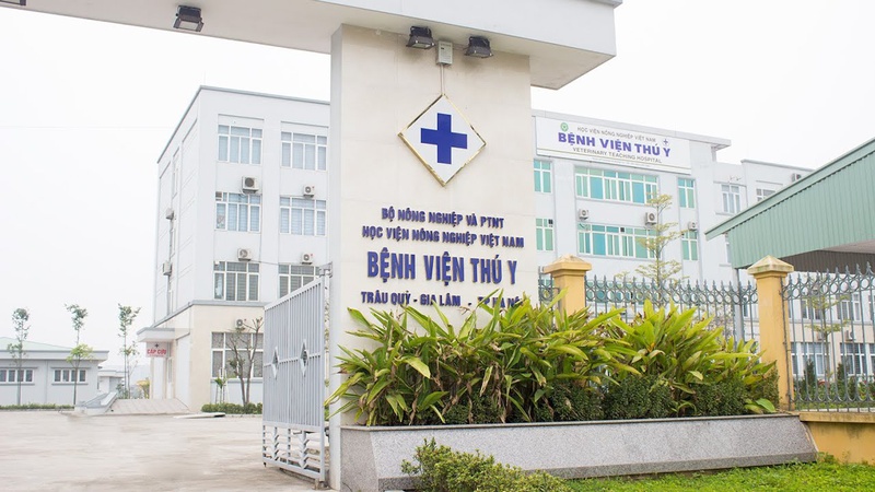 tiêm phòng chó dại ở đâu 2