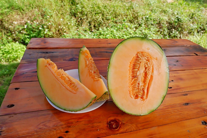 Dưa lưới