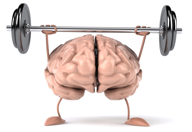 Tìm hiểu bán cầu não trái có chức năng gì 1