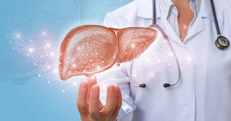 Bệnh gan là một trong những nguyên nhân khiến nước tiểu có mùi hôi