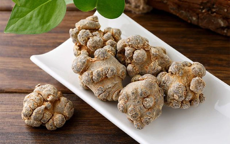 Tìm hiểu về cây tam thất bắc