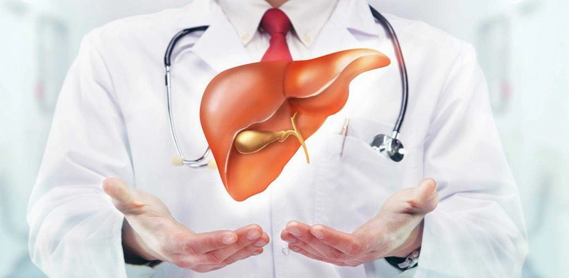 Tìm hiểu về chế độ dinh dưỡng cho người bị bệnh gan nhiễm mỡ