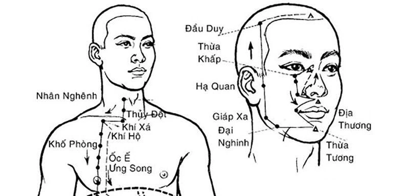 Huyệt nhân nghênh là huyệt thứ 9 của kinh vị thuộc nhóm huyệt Thiên Dũ