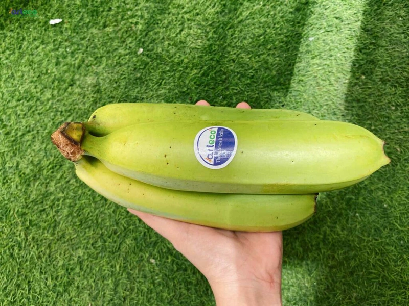 tinh bột kháng tự nhiên 3