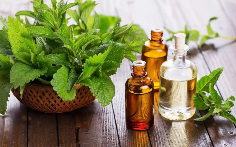 Tìm hiểu các loại tinh dầu điều trị bệnh viêm đại tràng 1