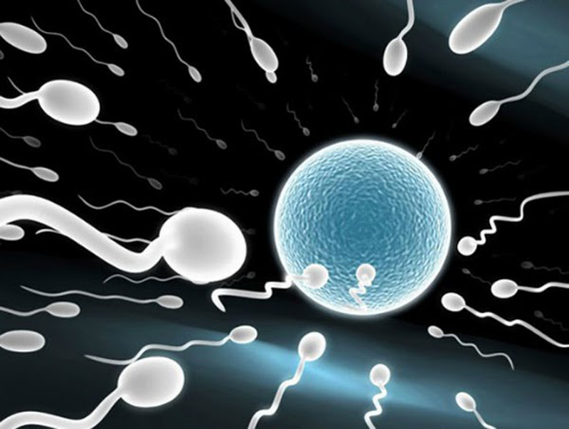 Tình dục tuổi mãn dục có gì khác biệt 3