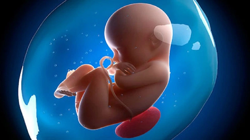 Tinh trùng dị dạng có ảnh hưởng đến thai nhi một cách tiêu cực