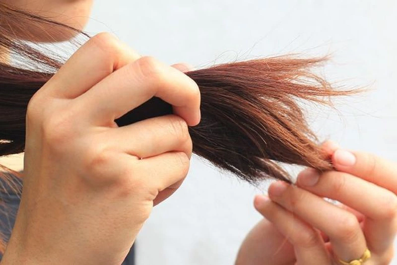 Nguyên nhân tóc chẻ ngọn và cách khắc phục hiệu quả  Đẹp365