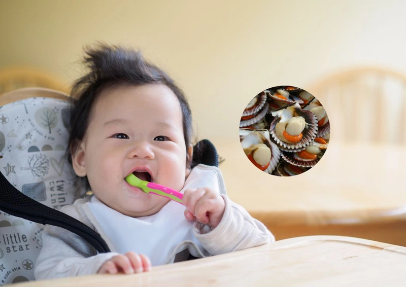 Tổng hợp 3 cách nấu cháo sò điệp cho bé ăn dặm ấm bụng ngày thu  2