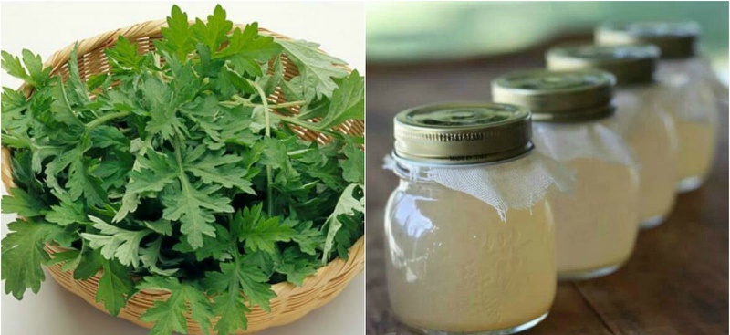 Tổng hợp kinh nghiệm chữa gai cột sống từ dân gian hiệu quả nhất 2