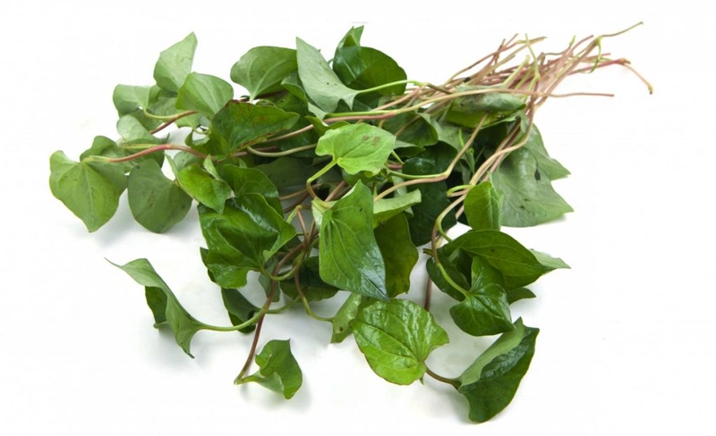 Tổng hợp mẹo dân gian giúp trẻ hạ sốt nhanh