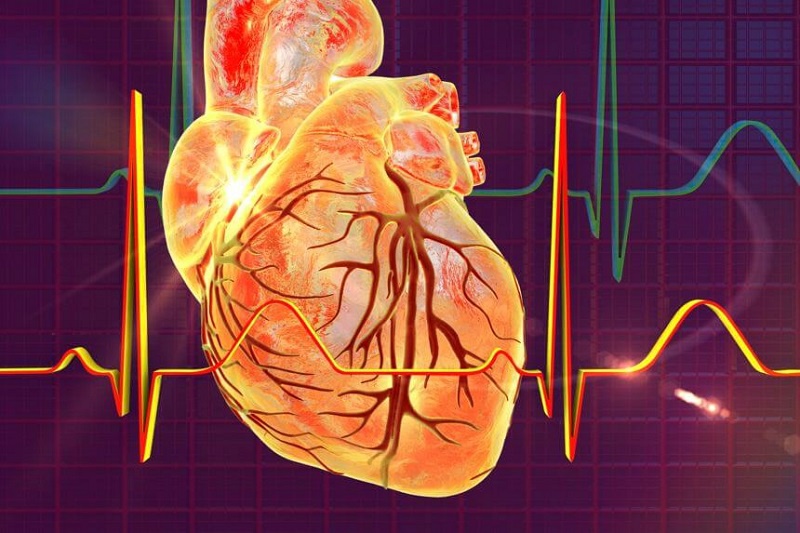 Điện tâm đồ gắng sức giúp phát hiện bất thường của tim mạch khi hoạt động gắng sức