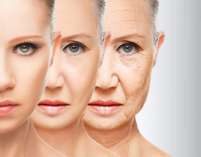 Top 5 loại mặt nạ tự nhiên giúp làm căng vùng da dưới mắt 1