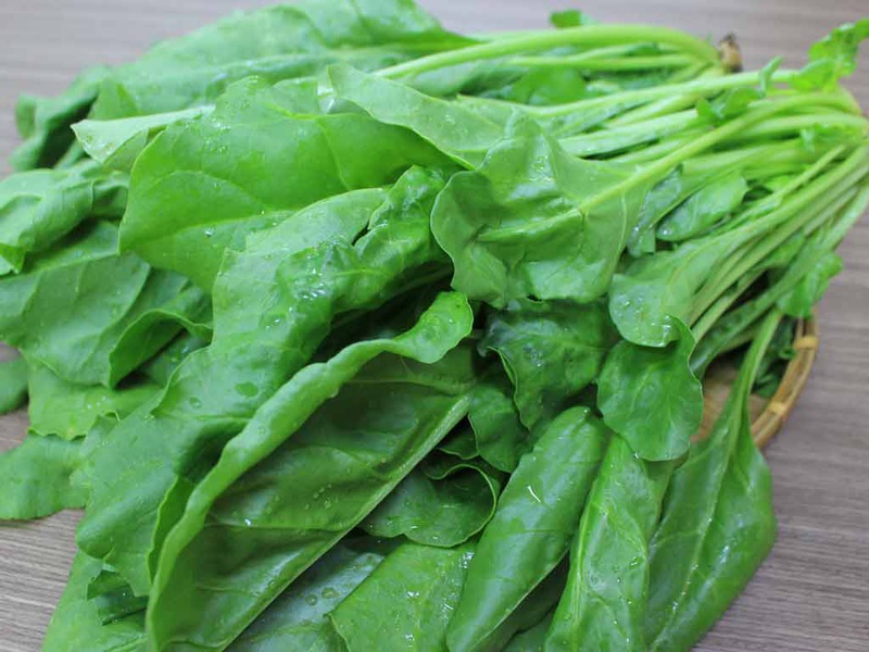 Top 5 loại thực phẩm tốt cho người bệnh trĩ
