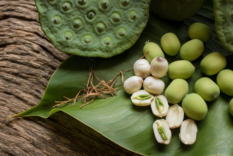 Trẻ 6 tháng ăn hạt sen được không 2