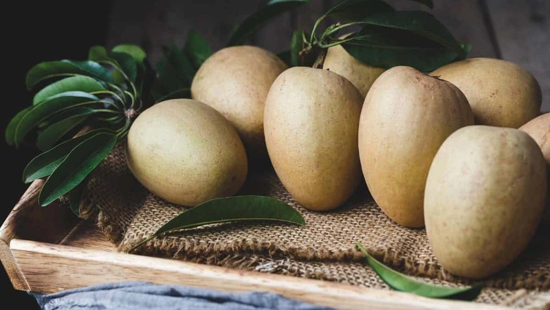 Trái hồng xiêm mang đến nhiều lợi ích cho cơ thể của trẻ