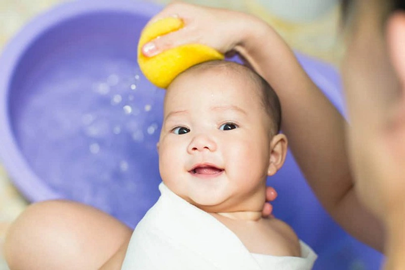 Trẻ bị rôm sảy nên tắm lá gì: Lá sài đất
