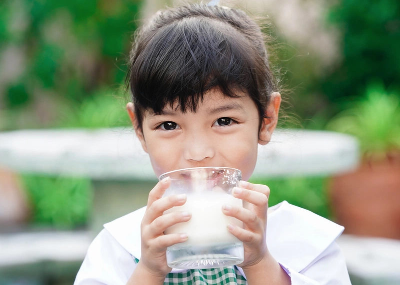 Nên cho trẻ uống sữa tươi khi trẻ đã hơn 1 tuổi