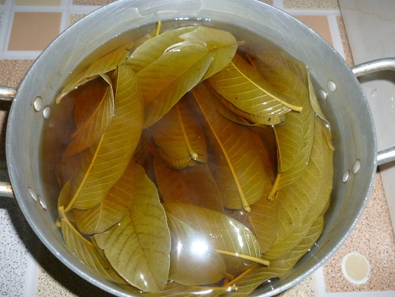 Đun lá ổi với 2-3 lít nước đến khi tinh chất lá ổi ra hoàn toàn