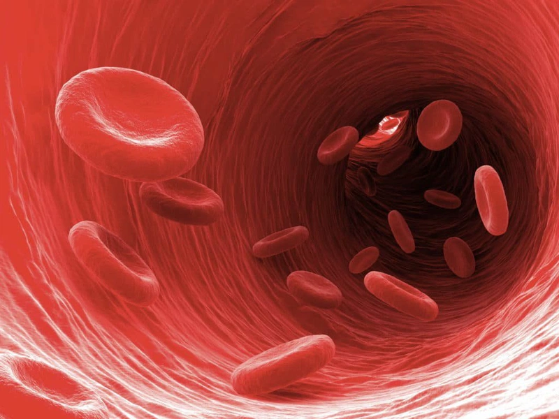 Nhiễm trùng máu có thể khiến các cơ quan không nhận đủ máu và oxy, dẫn đến đổ mồ hôi lạnh