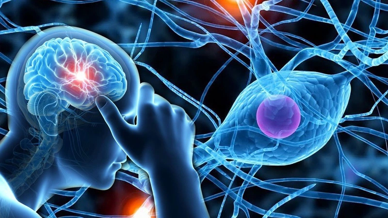 Rối loạn thần kinh thực vật có triệu chứng gì? Phòng tránh bệnh như thế nào? 3