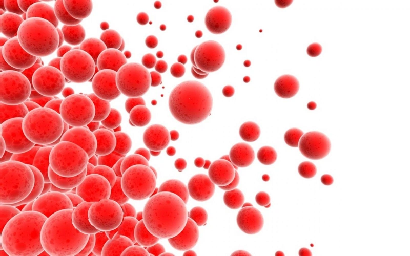 Bệnh đa hồng cầu là gì? Những yếu tố nào làm tăng nguy cơ của bệnh?