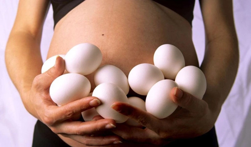 Trứng ngỗng có tác dụng gì? Nên ăn như thế nào để đảm bảo dinh dưỡng? 1