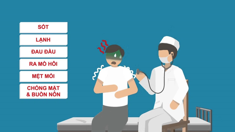 Trùng sốt rét sinh sản như thế nào? 2