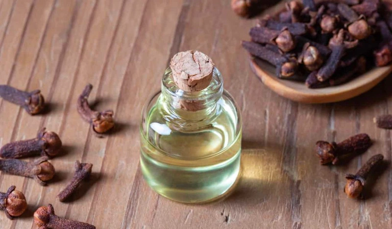 Tử đinh hương có công dụng gì với sức khỏe? Nhưng lưu ý khi sử dụng? 3