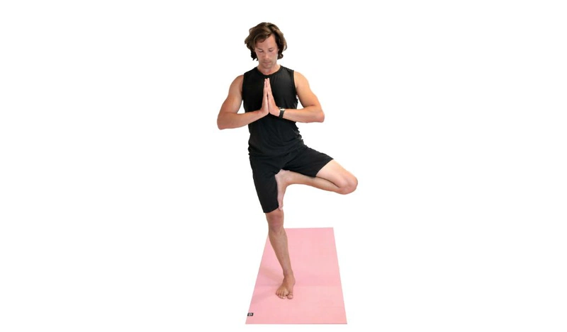 Tư thế cái cây yoga - Cơ bản nhưng mang lại nhiều lợi ích tuyệt vời 1