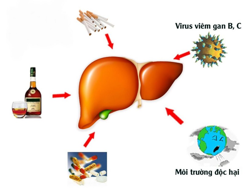 Tư vấn viêm gan B về thông tin con đường lây nhiễm.