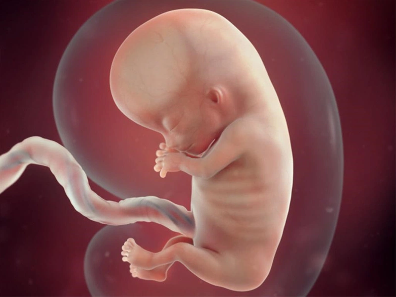 Túi ối nhỏ hơn tuổi thai ảnh hưởng gì? Có cách cải thiện không? 1