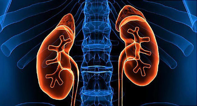 ù tai trái là bệnh gì? Lời khuyên cho người bị ù tai trái 2