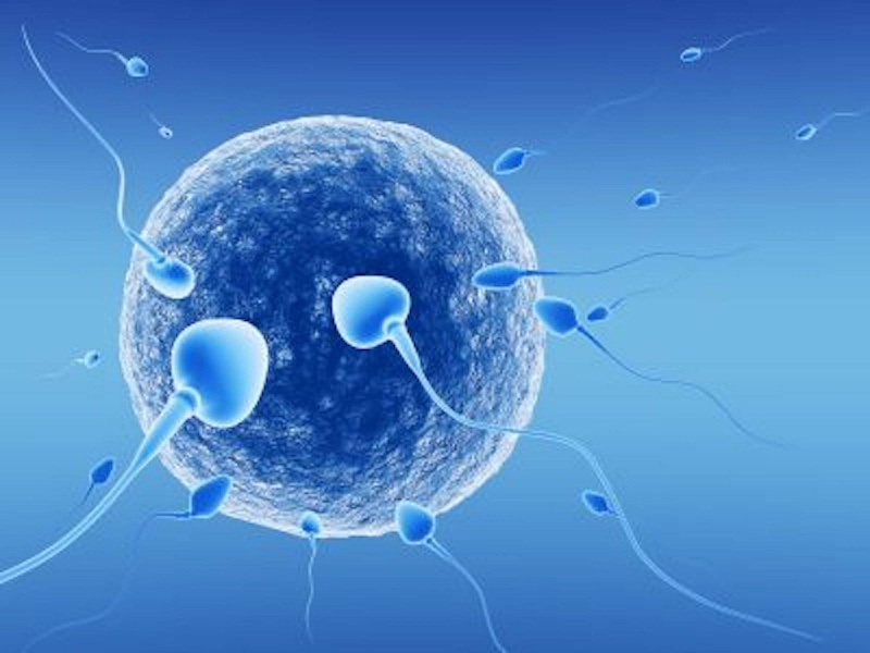 U xơ tử cung có làm ivf được không?