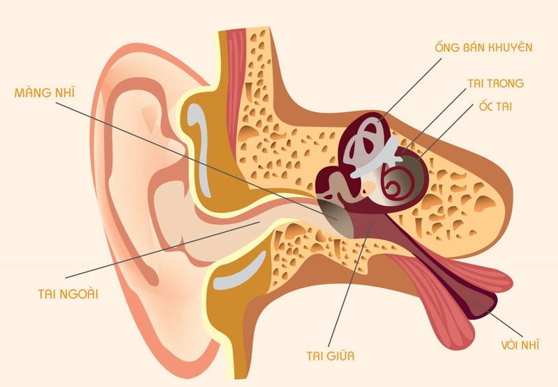 Ung thư ống tai ngoài có điều trị được không?1