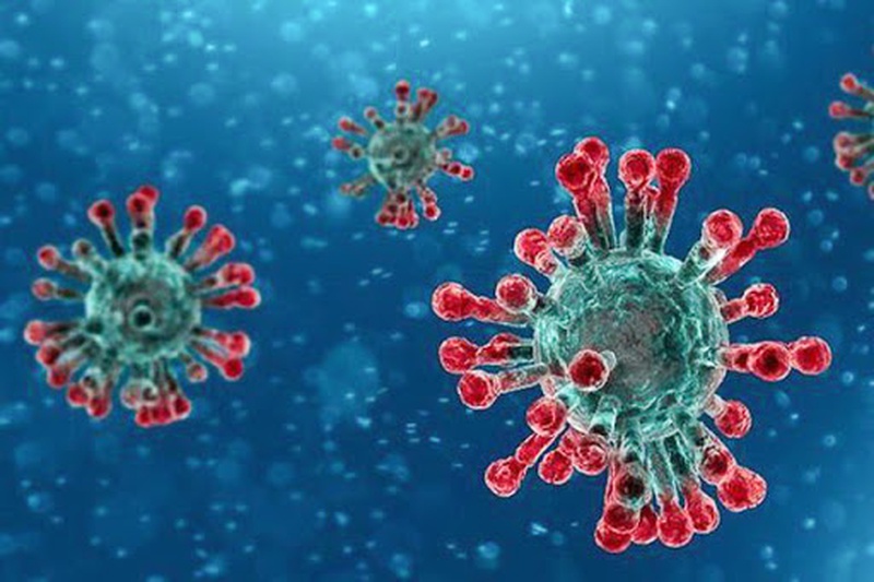 Virus corona bắt nguồn từ đâu?1