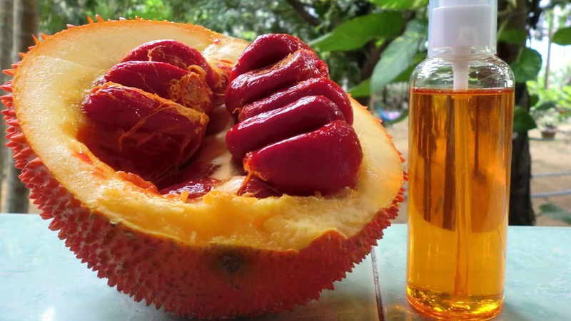 Uống dầu gấc buổi tối được không Uống như thế nào để có hiệu quả 1