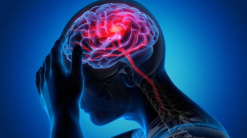 Các hợp chất sinh học trong hà thủ ô cải thiện các tình trạng bệnh gây ra do sự suy giảm liên quan đến tuổi tác của hệ thần kinh