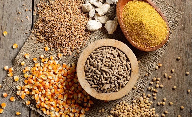 Uống Mass có tốt không? Những thành phần đem lại lợi ích trong sữa? 1
