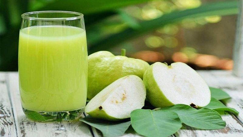 Các chuyên gia cũng không khuyến khích uống nước lá ổi thay thế hoàn toàn cho bữa ăn chính