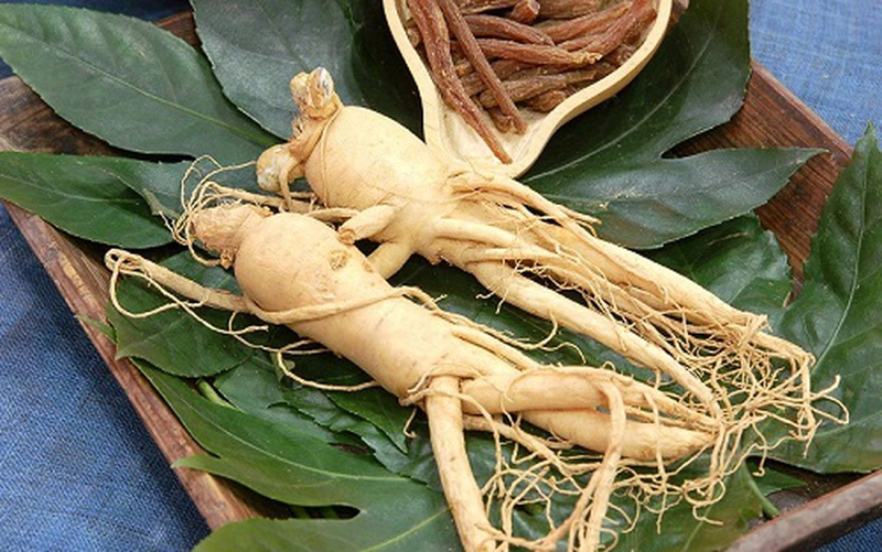 Uống sâm có mất ngủ không? Một số cách dùng nhân sâm phổ biến3