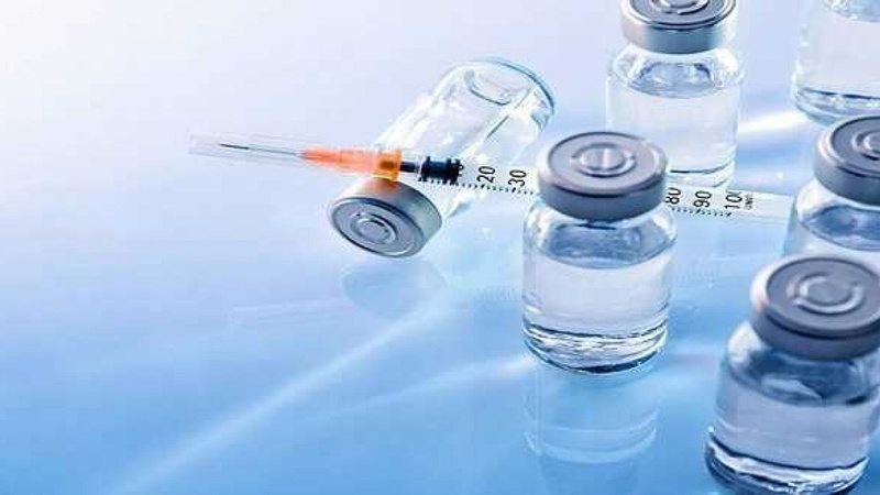 Vắc xin sống giảm độc lực tạo ra phản ứng miễn dịch mạnh mẽ và sản xuất kháng thể