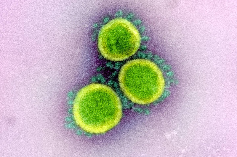 Vaccine COVID-19 hiệu quả kéo dài nhờ virus SARS-CoV-2 đột biến chậm hơn cúm 2