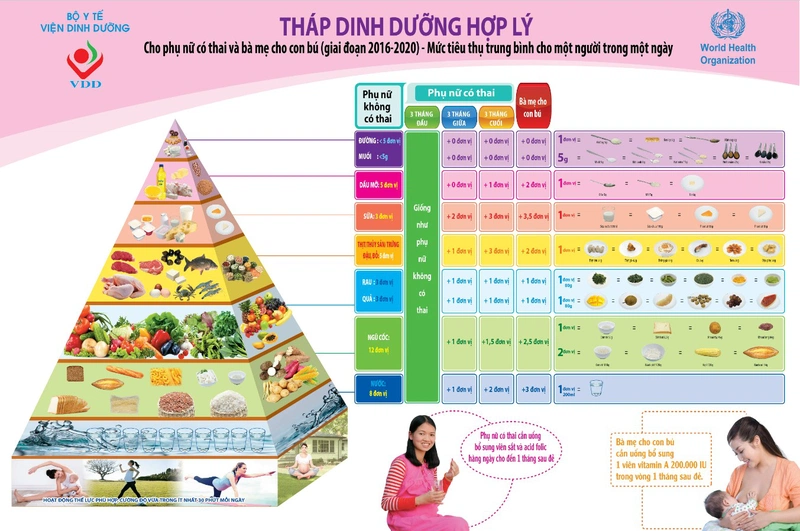 Vai trò của dinh dưỡng với phụ nữ có thai là gì? Tìm hiểu tháp dinh dưỡng cho bà bầu 4