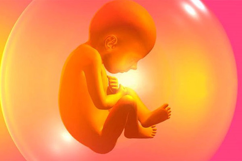 Vai trò của nước ối trong việc sinh sản của mẹ bầu 1